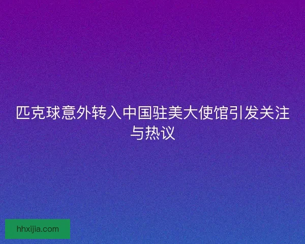 匹克球意外转入中国驻美大使馆引发关注与热议